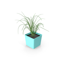 Potted Chives PNG & PSD Images