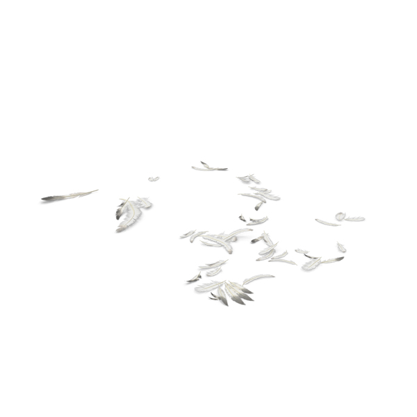Scattered Feathers PNG & PSD Images