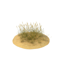 Sand Dunes with Grass PNG & PSD Images