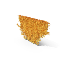 Yellow Ivy PNG & PSD Images