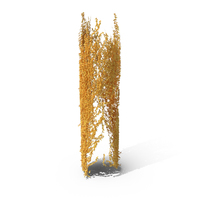 Yellow Ivy Pillar PNG & PSD Images