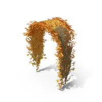 Yellow Ivy Gate PNG & PSD Images