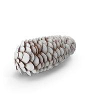 Frosted Pine Cone PNG & PSD Images