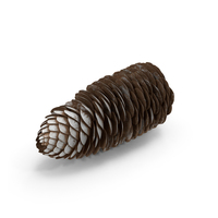 Frosted Pine Cones PNG & PSD Images