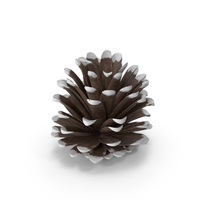 Frosted Pine Cones PNG & PSD Images