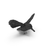 电线雕塑鸟PNG和PSD图像