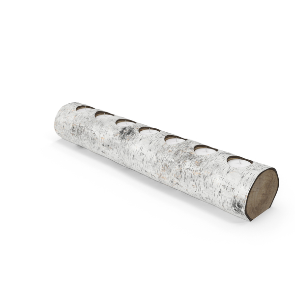 Birch Yule Log PNG & PSD Images
