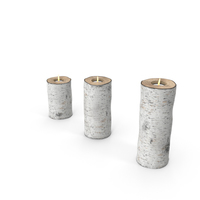 Birch Tree Candle Holder PNG & PSD Images