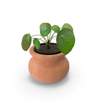 House Plant PNG & PSD Images