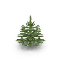 Toy Christmas Tree PNG & PSD Images