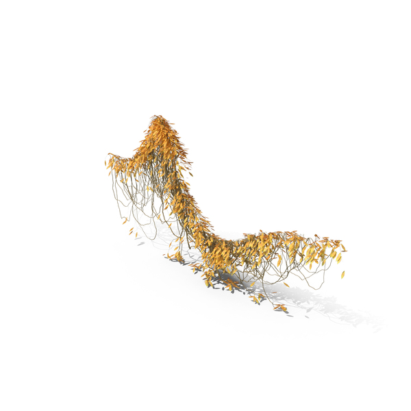 Autumnal Ivy PNG & PSD Images Autumnal Ivy PNG & PSD Images
