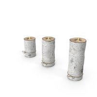 Birch Tree Candle Holders PNG & PSD Images