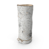 Birch Tree Candle Holder PNG & PSD Images