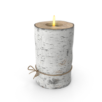 Birch Tree Candle Holder PNG & PSD Images