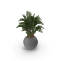 Potted Plant PNG & PSD Images