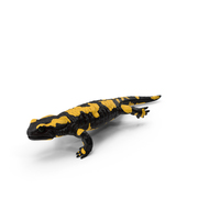 Salamander Running PNG & PSD Images