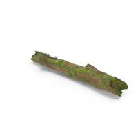 Mossy Log PNG & PSD Images