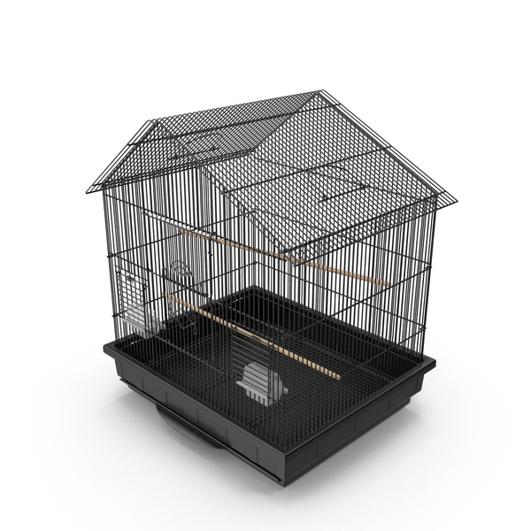 Bird Cage PNG & PSD Images