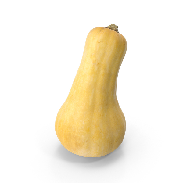 Butternut Squash PNG & PSD Images