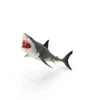 大鲨鱼PNG和PSD图像