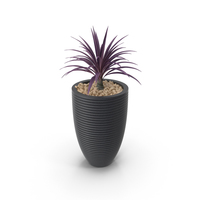 House Plant PNG & PSD Images