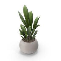 Potted Plant PNG & PSD Images