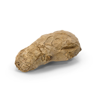 Ginger Root PNG & PSD Images