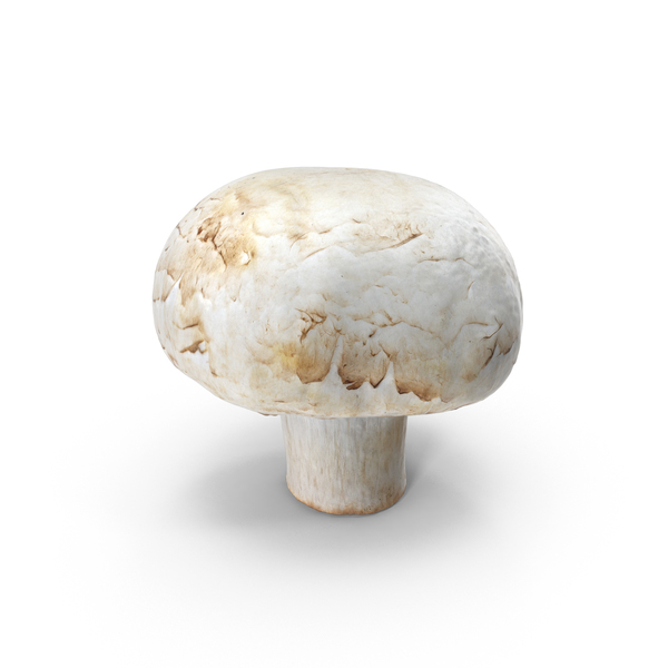 White Button Mushroom PNG & PSD Images