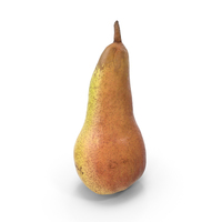 Conference Pear PNG & PSD Images