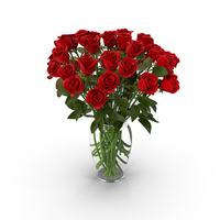 Red Rose Bouquet in Vase PNG & PSD Images
