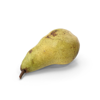 Conference Pear PNG & PSD Images