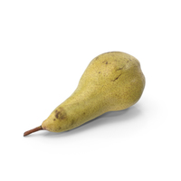 Conference Pear PNG & PSD Images