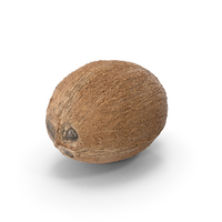 Coconut PNG & PSD Images