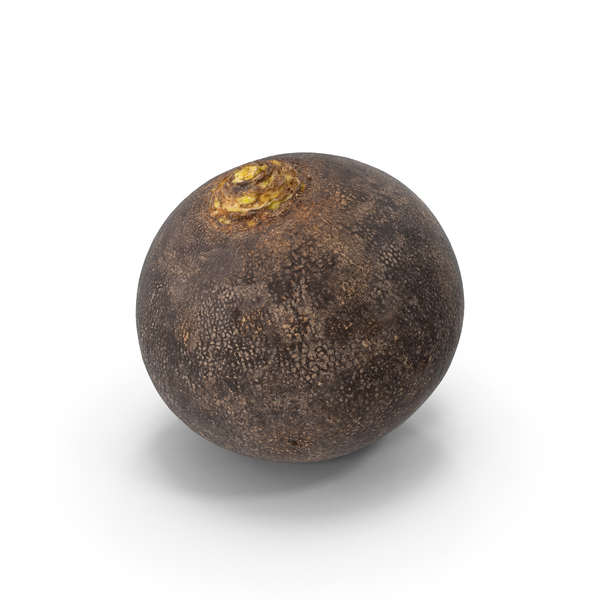 Black Turnip PNG & PSD Images