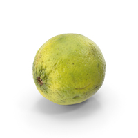 Kaffir Lime PNG & PSD Images