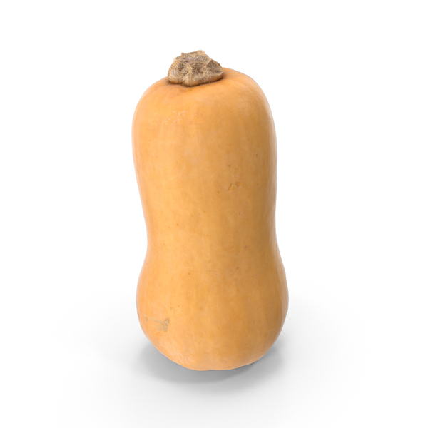 Butternut Squash PNG & PSD Images