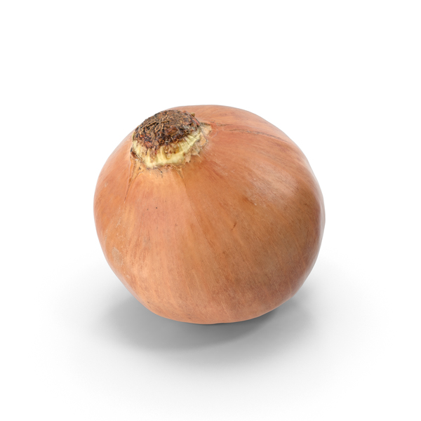 Onion Yellow PNG & PSD Images