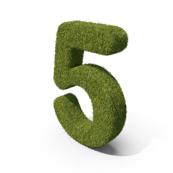 Grass Number 05 PNG & PSD Images