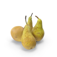 Conference Pears PNG & PSD Images