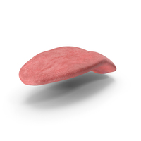 Tongue PNG & PSD Images