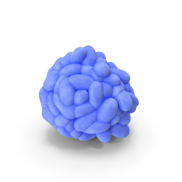 Branching Bubble Coral PNG & PSD Images