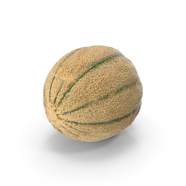 Cantaloupe Melon PNG & PSD Images