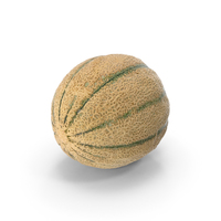 Cantaloupe Melon PNG & PSD Images