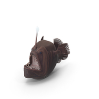 Angler Fish PNG & PSD Images