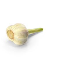 Hardneck Garlic PNG & PSD Images