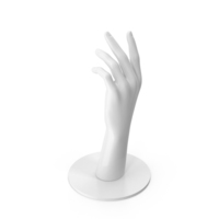 Hand Female Mannequin PNG & PSD Images