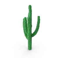 Voxel Cactus PNG & PSD Images