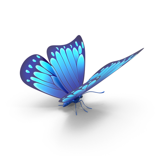 蓝色蝴蝶PNG和PSD图像