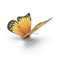 Orange Butterfly PNG & PSD Images