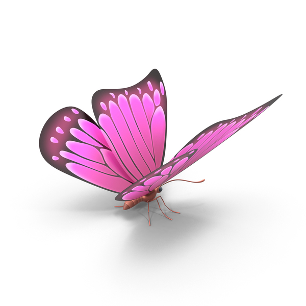 Pink Butterfly PNG & PSD Images